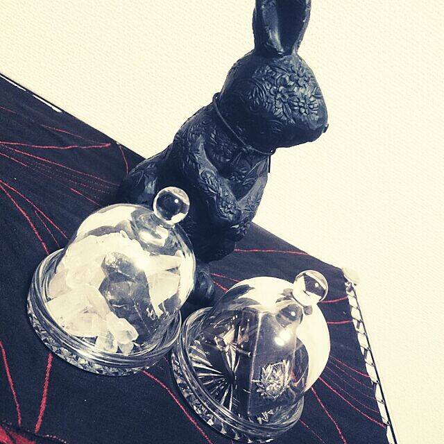 アイテムの魅力を引き立てる♡セリアのガラスドーム