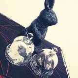 「アイテムの魅力を引き立てる♡セリアのガラスドーム」の画像13