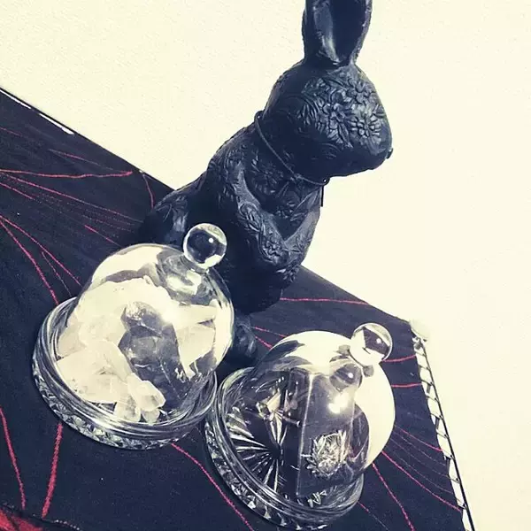 「アイテムの魅力を引き立てる♡セリアのガラスドーム」の画像