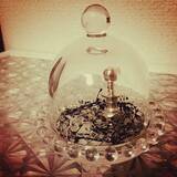 「アイテムの魅力を引き立てる♡セリアのガラスドーム」の画像11