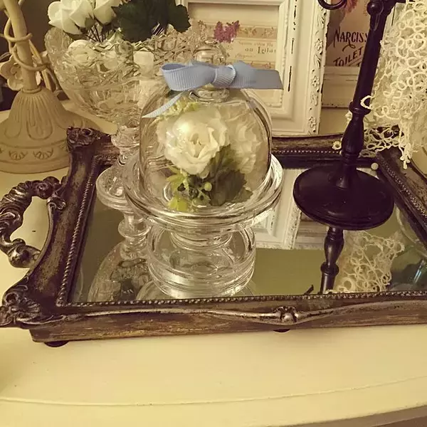 「アイテムの魅力を引き立てる♡セリアのガラスドーム」の画像