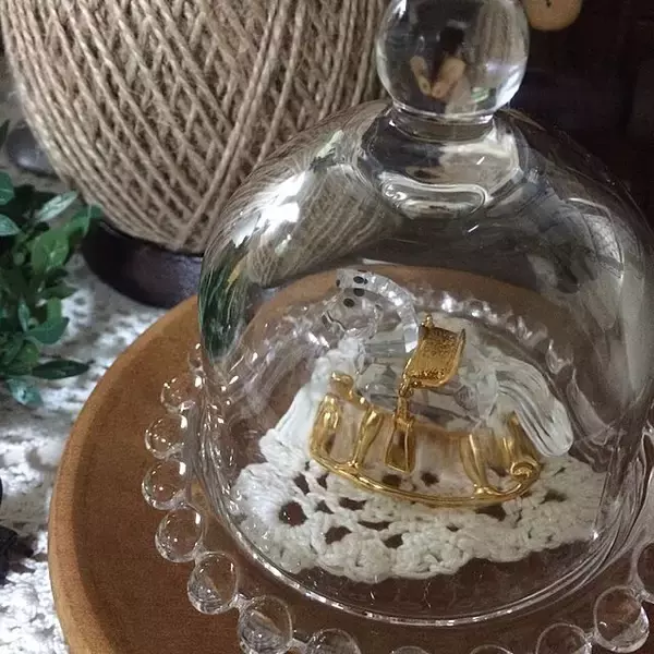 「アイテムの魅力を引き立てる♡セリアのガラスドーム」の画像