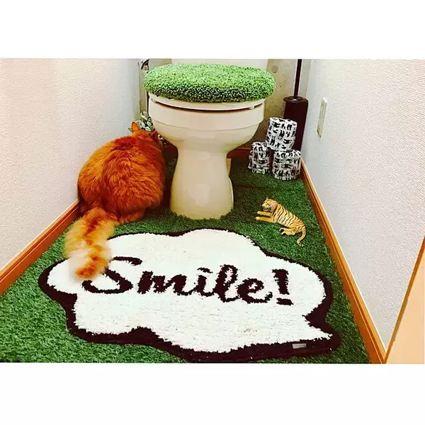 「緑や小物使いがポイント！居心地のよいトイレの作り方」の画像