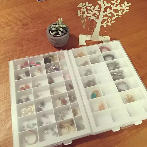 「分けられるから整理が楽ちん♪セリアの仕切り付きケース」の画像