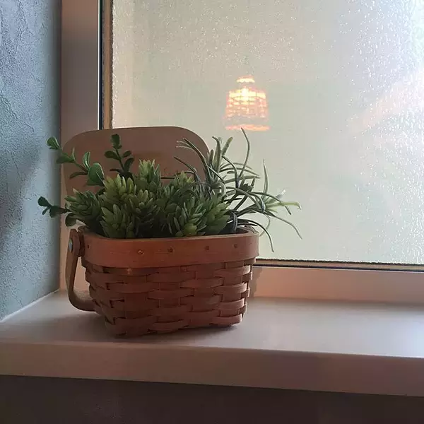 「癒しをインテリアにプラス☆ダイソーのフェイクグリーン」の画像