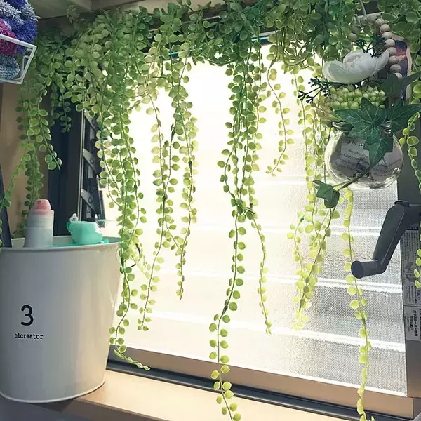 「癒しをインテリアにプラス☆ダイソーのフェイクグリーン」の画像