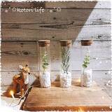 「癒しをインテリアにプラス☆ダイソーのフェイクグリーン」の画像5