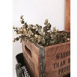 「癒しをインテリアにプラス☆ダイソーのフェイクグリーン」の画像7