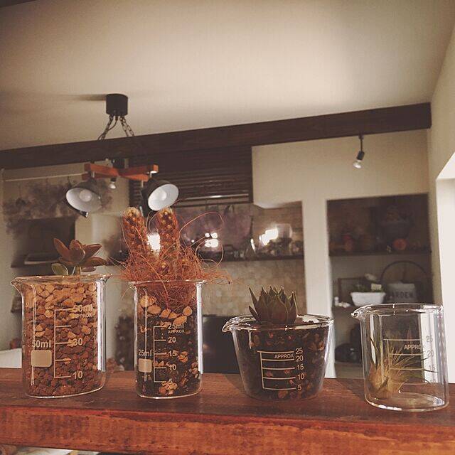 懐かしのビーカーを100均でゲット♪ユニークな活用法10選