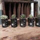 「懐かしのビーカーを100均でゲット♪ユニークな活用法10選」の画像2