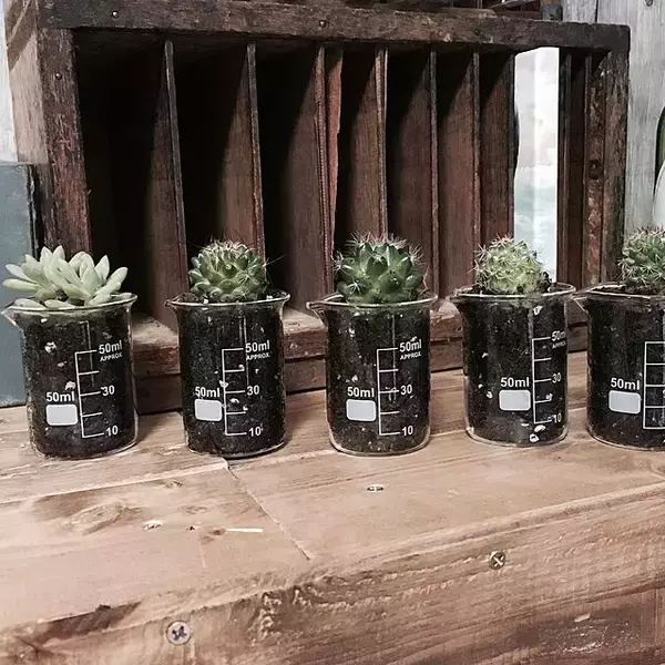 「懐かしのビーカーを100均でゲット♪ユニークな活用法10選」の画像