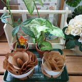 「ハンドメイドやアレンジに最適♪コーヒーフィルター活用術」の画像6