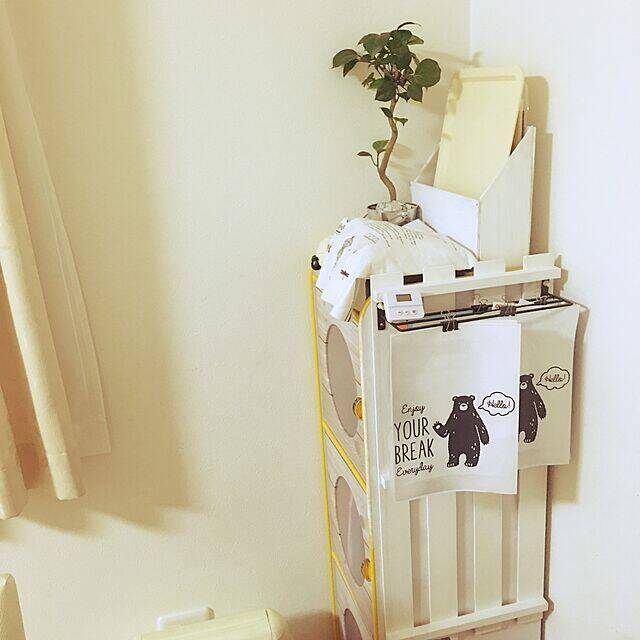 いろいろなところで大活躍！セリアのアイアンウォールバー