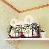 「我が家にぴったりが叶う！100均ワイヤーネット活用術10選」の画像9