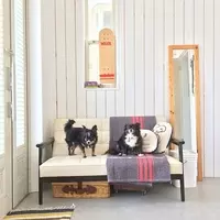 家具メーカーのカリモクがポケセンとコラボ ピカチュウのソファなどが登場 21年10月12日 エキサイトニュース