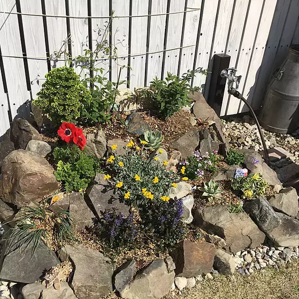 「理想の花壇を作ろう♪ユーザーさんの手作り花壇カタログ」の画像