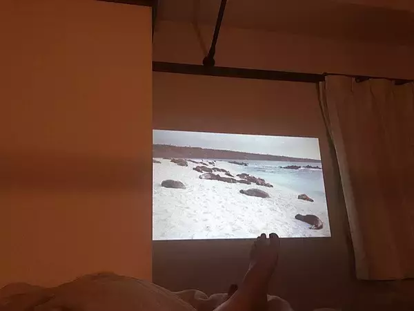 「「23m2。アイテムの多用途使いが鍵。心地よい風景のあるワンルーム」 by sen_93_さん」の画像