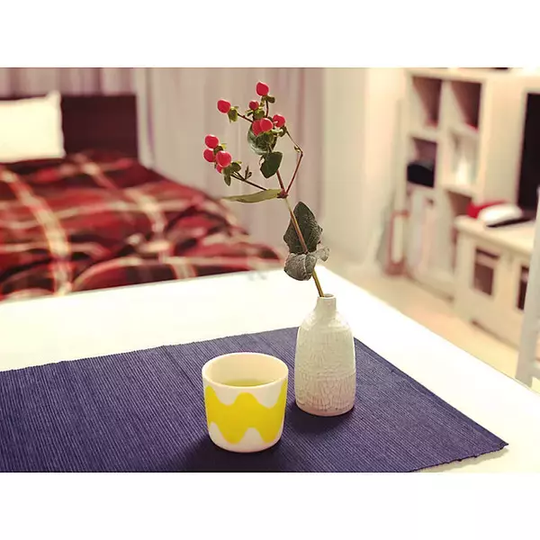 「「26m2。大切にしたメリハリある生活。ほっこりナチュラル1K」 by rrrrkkkkさん」の画像