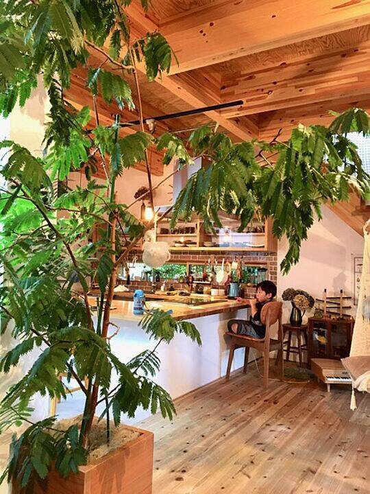 「家族や仲間とつながる、ボタニカルカフェキッチン」 by green.green.greenさん