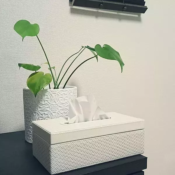 「お気に入り確定！ニトリのティッシュケースカタログ」の画像