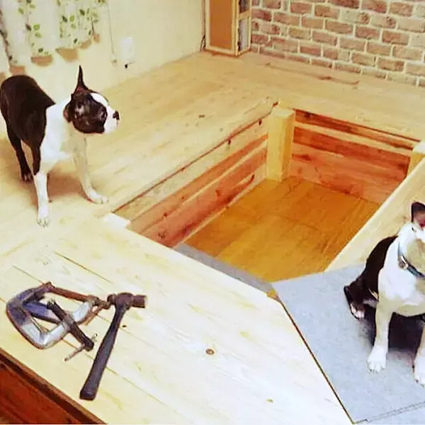 「みんなどうやって過ごしてる？ソファーなしリビングの生活」の画像