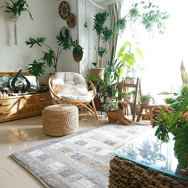 お部屋に癒しをプラス インテリアに合わせた観葉植物の飾り方実例集 21年8月19日 エキサイトニュース 3 3