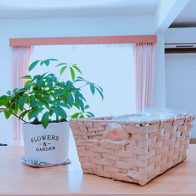 バリエーション豊富♡いろいろ使えるダイソーのバスケット