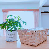 「バリエーション豊富♡いろいろ使えるダイソーのバスケット」の画像8