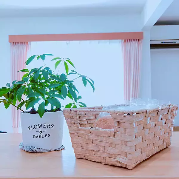 「バリエーション豊富♡いろいろ使えるダイソーのバスケット」の画像