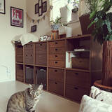 「シックなスタイル目指すなら、無印良品のウォールナット材シリーズ！」の画像9