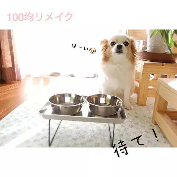 「「マグネットでペタッ◎高さを出して食べやすいわんちゃんのフードスタンド」 by knkさん」の画像