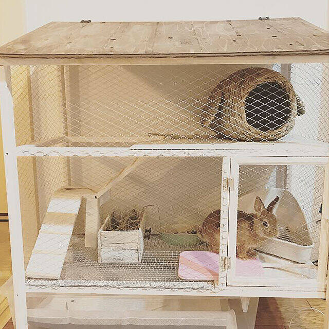 きっと喜んでもらえるはず♡うさぎ用の小屋とおさんぽスペースの実例