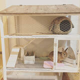 「きっと喜んでもらえるはず♡うさぎ用の小屋とおさんぽスペースの実例」の画像6