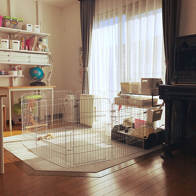 きっと喜んでもらえるはず♡うさぎ用の小屋とおさんぽスペースの実例