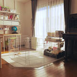 「きっと喜んでもらえるはず♡うさぎ用の小屋とおさんぽスペースの実例」の画像9