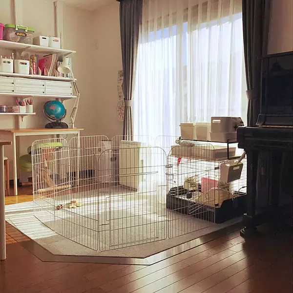 「きっと喜んでもらえるはず♡うさぎ用の小屋とおさんぽスペースの実例」の画像