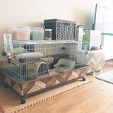 「きっと喜んでもらえるはず♡うさぎ用の小屋とおさんぽスペースの実例」の画像4