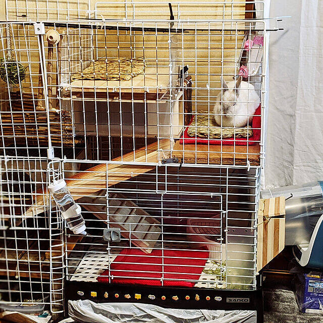 きっと喜んでもらえるはず♡うさぎ用の小屋とおさんぽスペースの実例