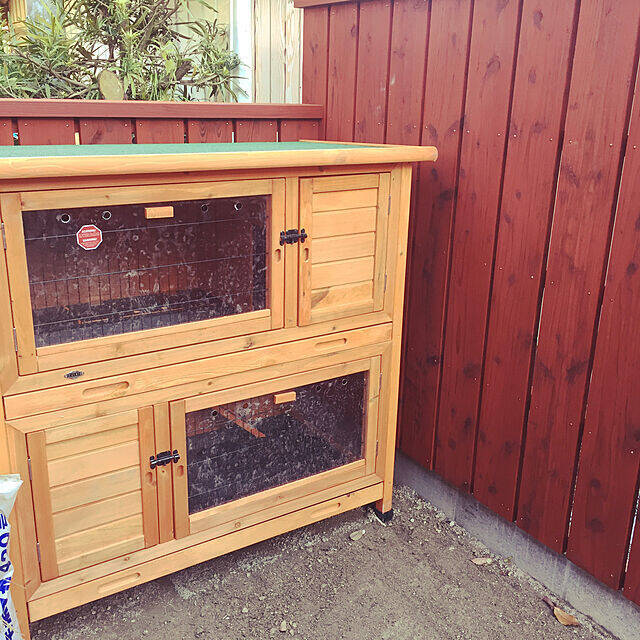 きっと喜んでもらえるはず♡うさぎ用の小屋とおさんぽスペースの実例
