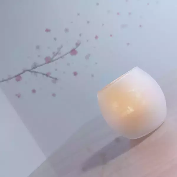 「アウトドアだけじゃない！snow peakのアイテムを普段使いに」の画像