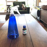 「スキンケアからお掃除まで♪使える100均のスプレーボトル」の画像10