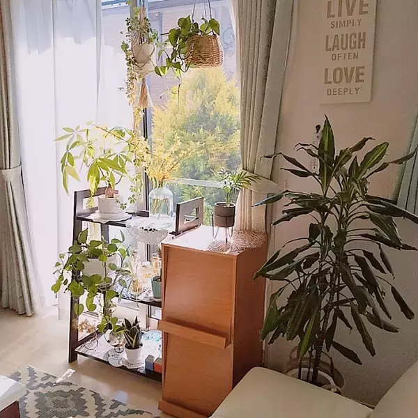 お部屋に合わせてカスタマイズ♪ニトリのウッドシェルフ&ラックが 