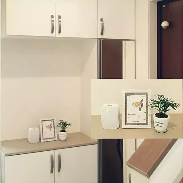 「困った虫を寄せ付けない！室内やお家まわりの虫対策10選」の画像