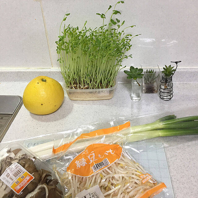 知って得する！キッチンで今すぐできる節約アイデア