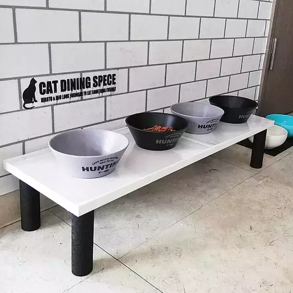 「気持ちよく過ごしてほしいから♪DIYで作るペットのごはん台」の画像