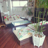 「おうちで常夏気分を味わって♪トロピカル＆ハワイアンなインテリア」の画像4