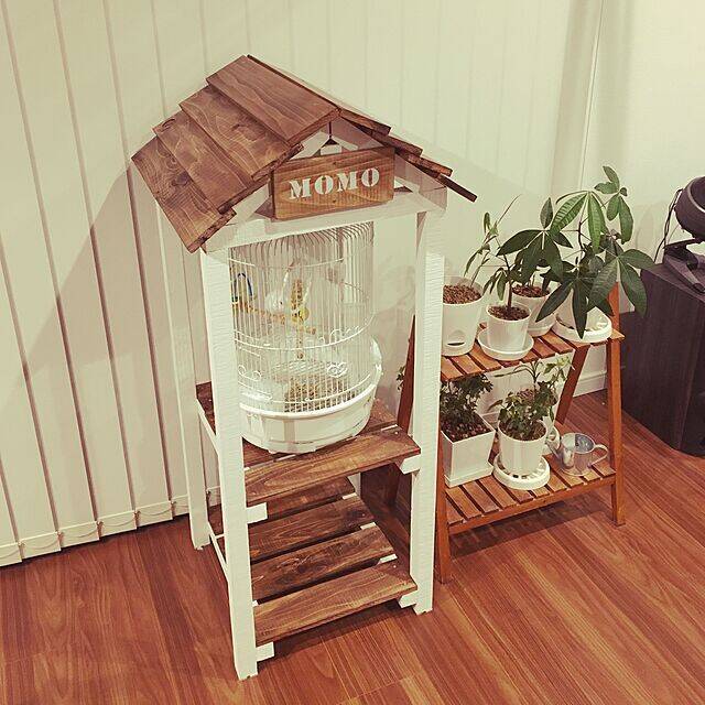 いつもそばにいたいから インテリアになる鳥用品カタログ 21年4月5日 エキサイトニュース 2 3