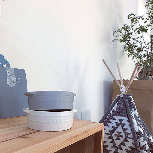 ワンちゃんもよろこぶ☆インテリアになじむ愛犬用フードボウル