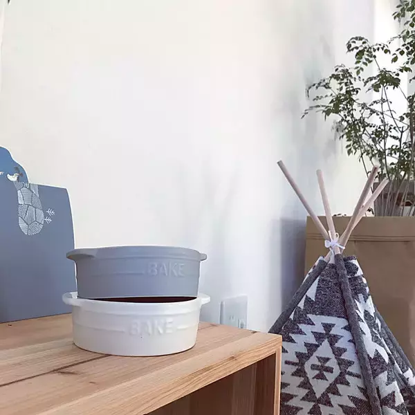 「ワンちゃんもよろこぶ☆インテリアになじむ愛犬用フードボウル」の画像