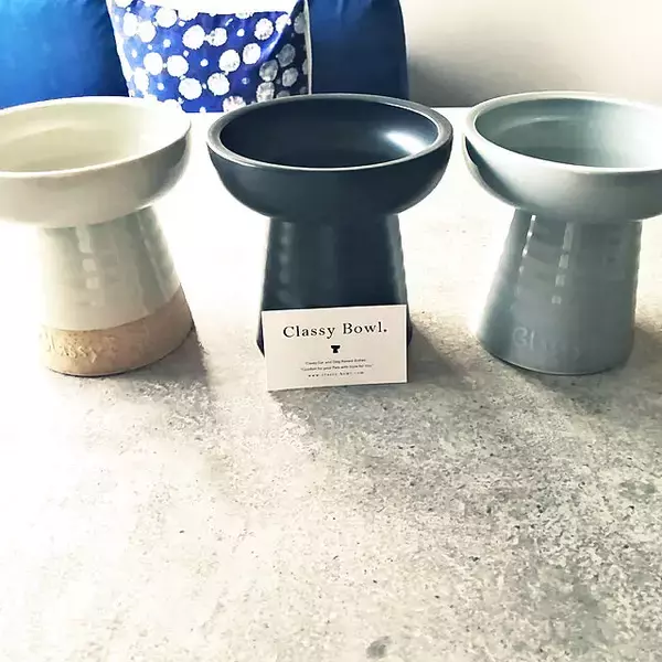 「ワンちゃんもよろこぶ☆インテリアになじむ愛犬用フードボウル」の画像